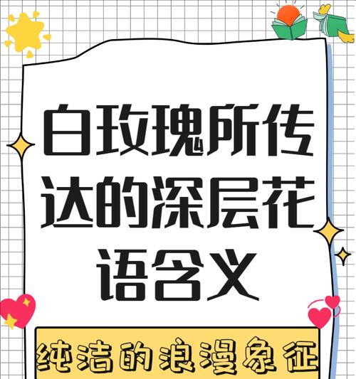白玫瑰花语中有哪些不为人知的含义？它为何被视为祸害？