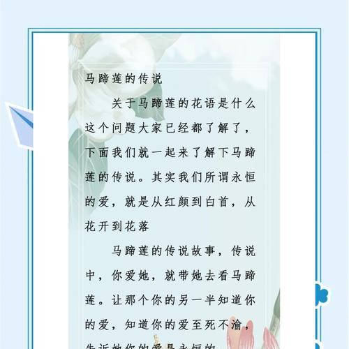 马蹄莲花语是否含有负面含义？真实寓意是什么？