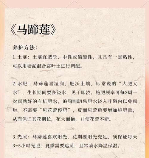 马蹄莲花语是否含有负面含义？真实寓意是什么？