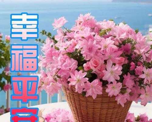 哪些花寓意祝福平安？如何用花表达平安祝福？