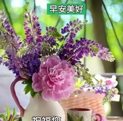 哪些花寓意祝福平安？如何用花表达平安祝福？