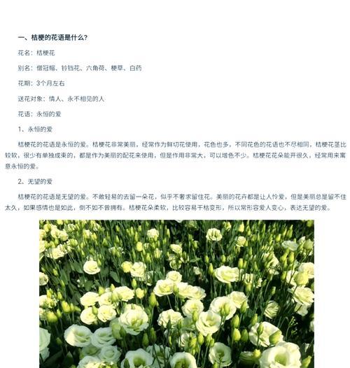 毕业季送花的寓意与选择是什么？