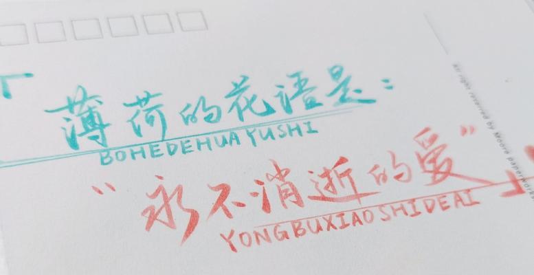 薄荷花语是什么意思？薄荷象征着什么？