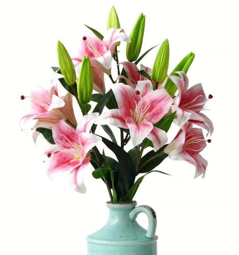 百合花有哪些寓意丰富的品种？