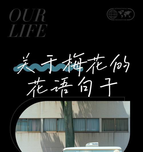 红梅花的花语是什么？它象征着什么意义？