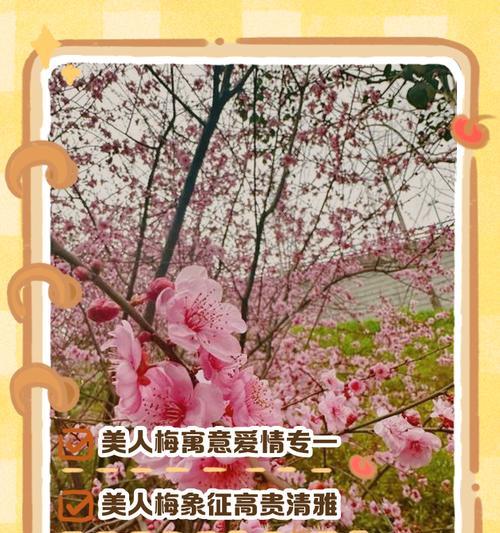 红梅花的花语是什么？它象征着什么意义？