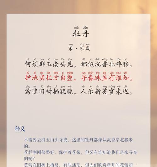 宋老师推荐的寓意好的花有哪些？它们代表了什么？
