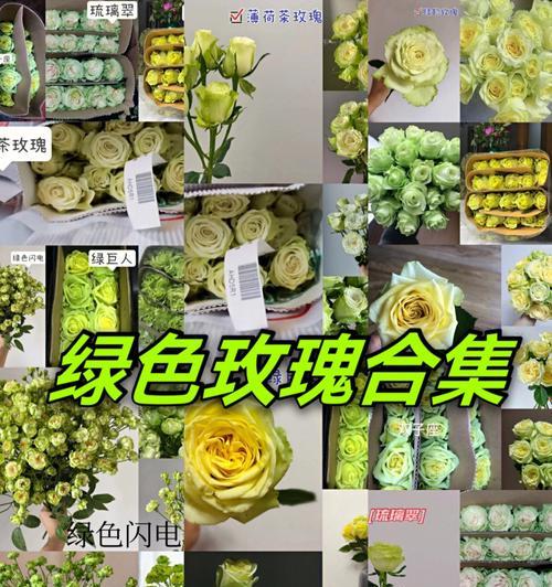 绿玫瑰的花语和代表意义是什么？