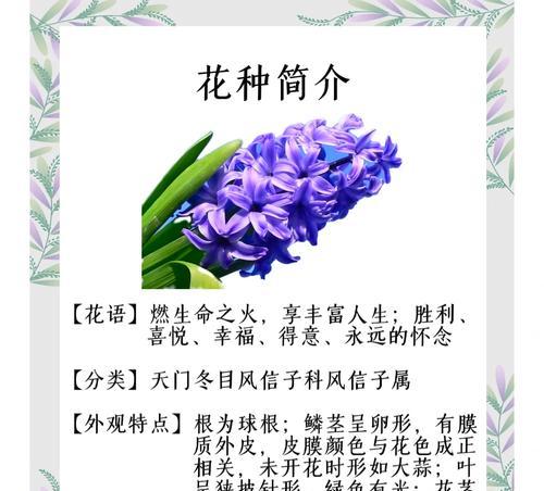 哪种花象征着忧郁的情绪？忧郁花语的代表花卉有哪些？
