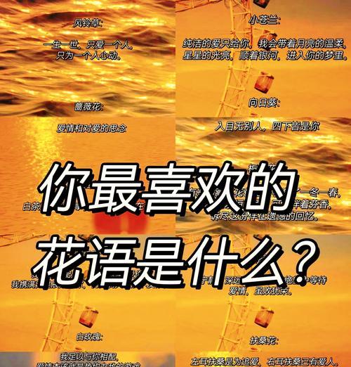 哪种花象征着忧郁的情绪？忧郁花语的代表花卉有哪些？