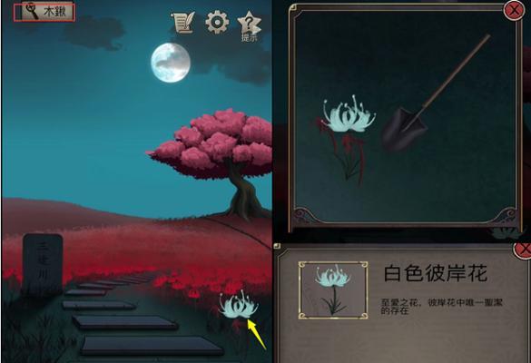 玉珠花含义是什么？象征意义大揭秘！