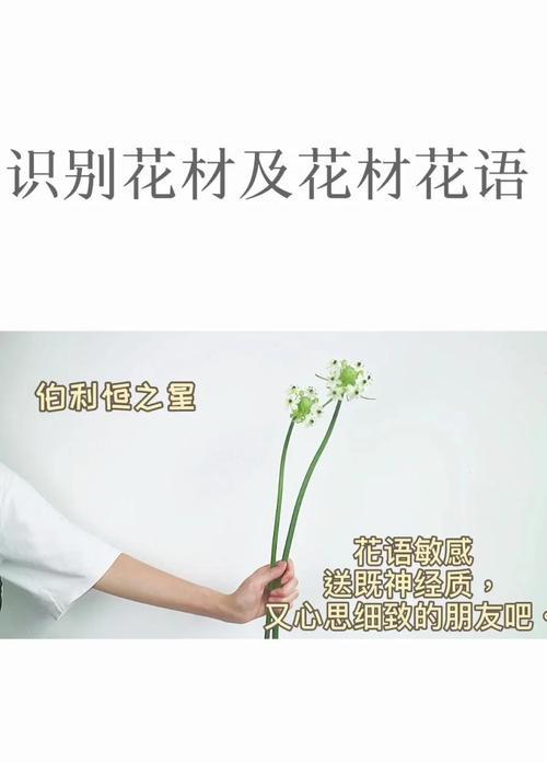 幸福的花语有哪些？它们在日常生活中如何表达？