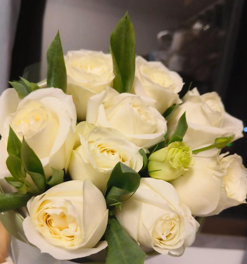 白玫瑰的寓意和花语是什么？它象征着什么？