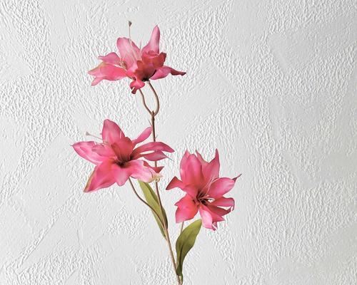 百合假花的寓意是什么？