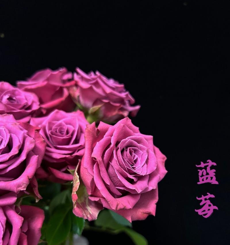 花的情话寓意是什么？如何用花来表达爱意？
