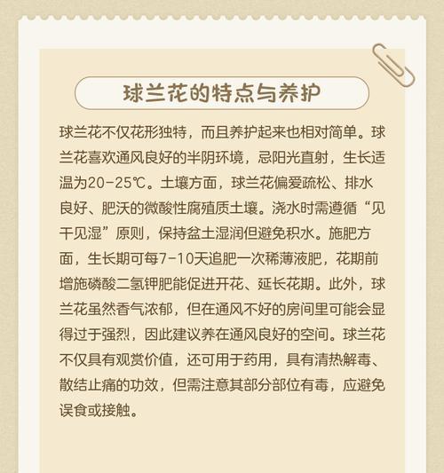 球兰花语有何独特之处？如何正确解读？