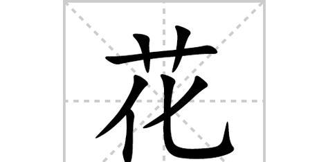 如何理解花的命名？