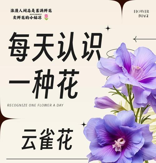 花要开象征着什么？它在自然界中预示着什么？