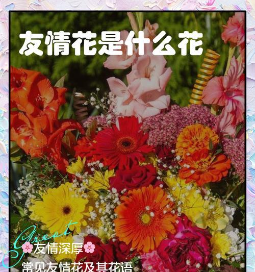 各种花的代表含义有哪些？