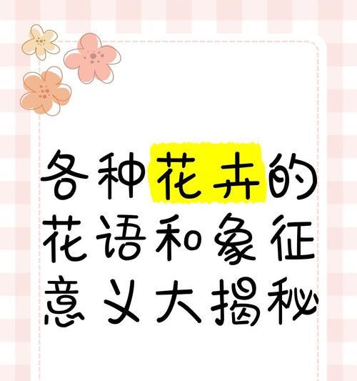 各种花的代表含义有哪些？