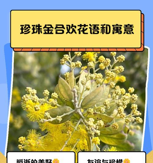 花语浓的含义是什么？它代表了什么？