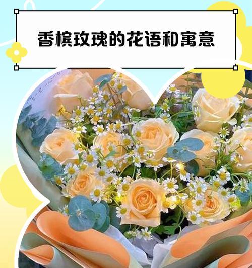 香槟玫瑰花语有何不同？代表了什么情感？