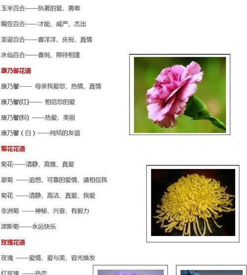 日轮花耳饰有何特殊含义？它们代表了哪些意义？