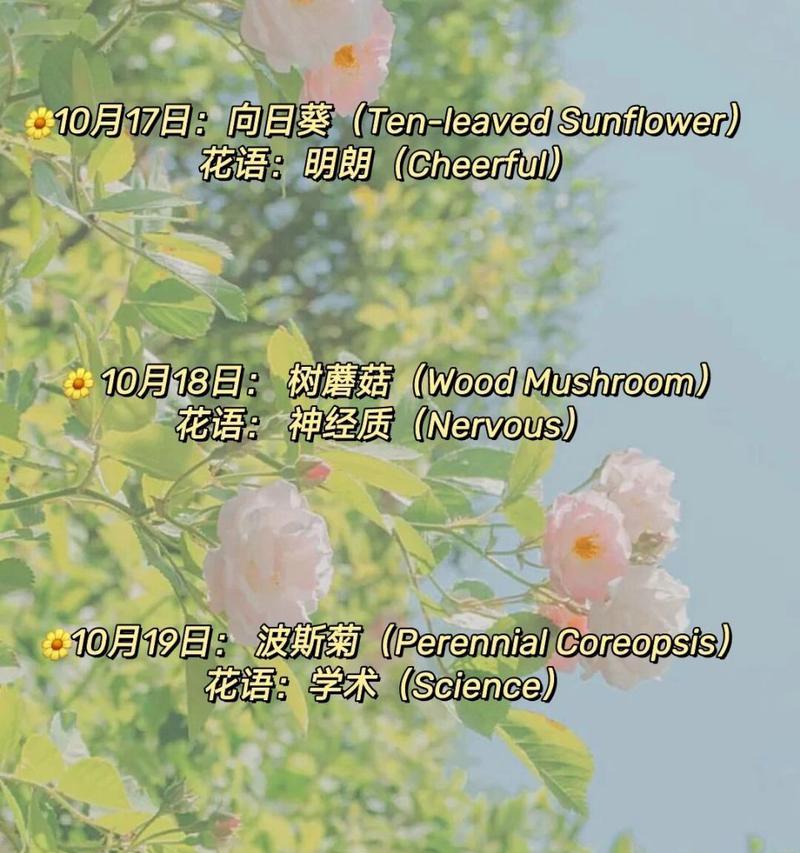 日轮花耳饰有何特殊含义？它们代表了哪些意义？