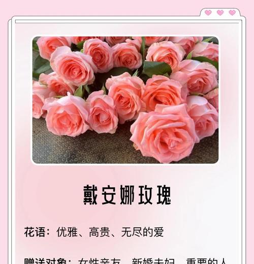 送花给对象有何深意？花语中隐藏了哪些情感？