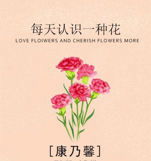 送花给对象有何深意？花语中隐藏了哪些情感？