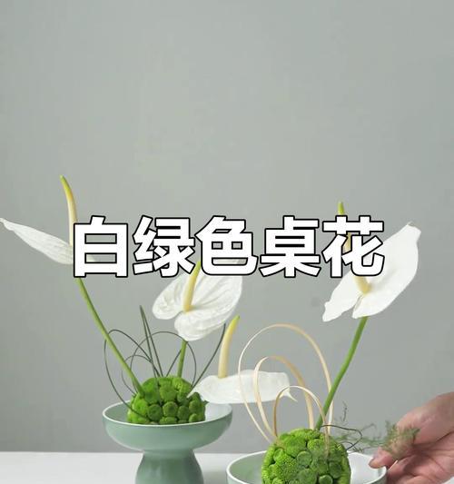 绿白色花卉代表什么？绿白色花的含义是什么？