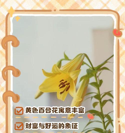 富贵花的寓意和花语是什么？