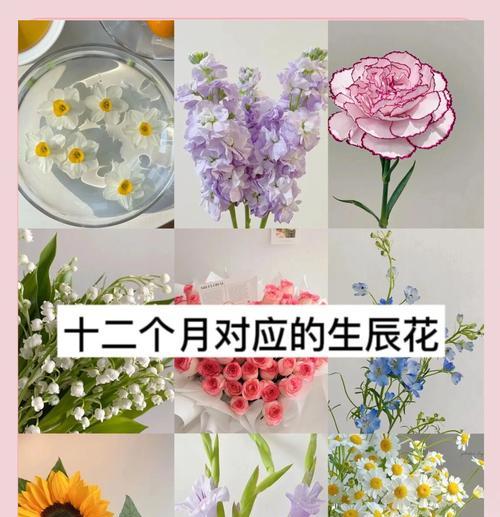 代表思念的花是什么？想你的花语具体含义是什么？