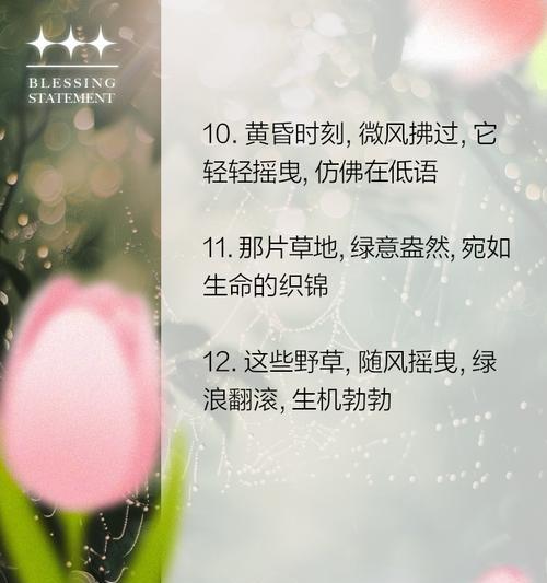 随意草的花语含义是什么？