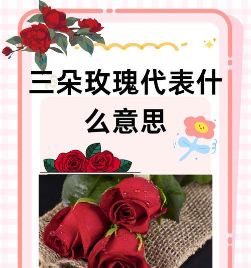 每朵花的花语含义是什么？花语代表什么？