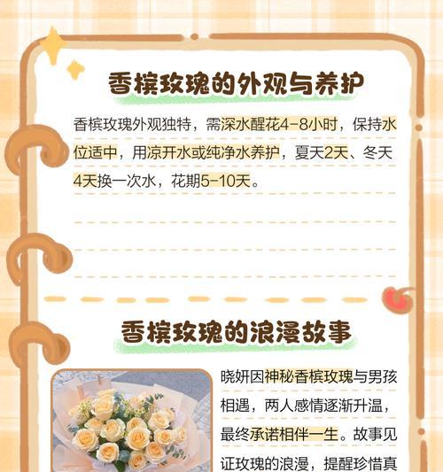 “阿木”含义的花及其特别花语是什么？