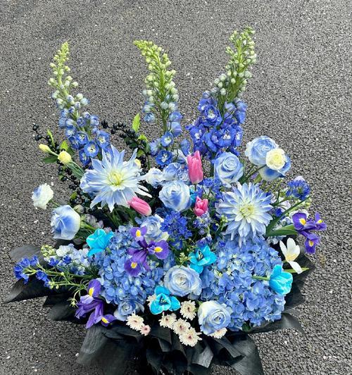 萧逸的象征花是什么？萧逸代表的花有哪些？