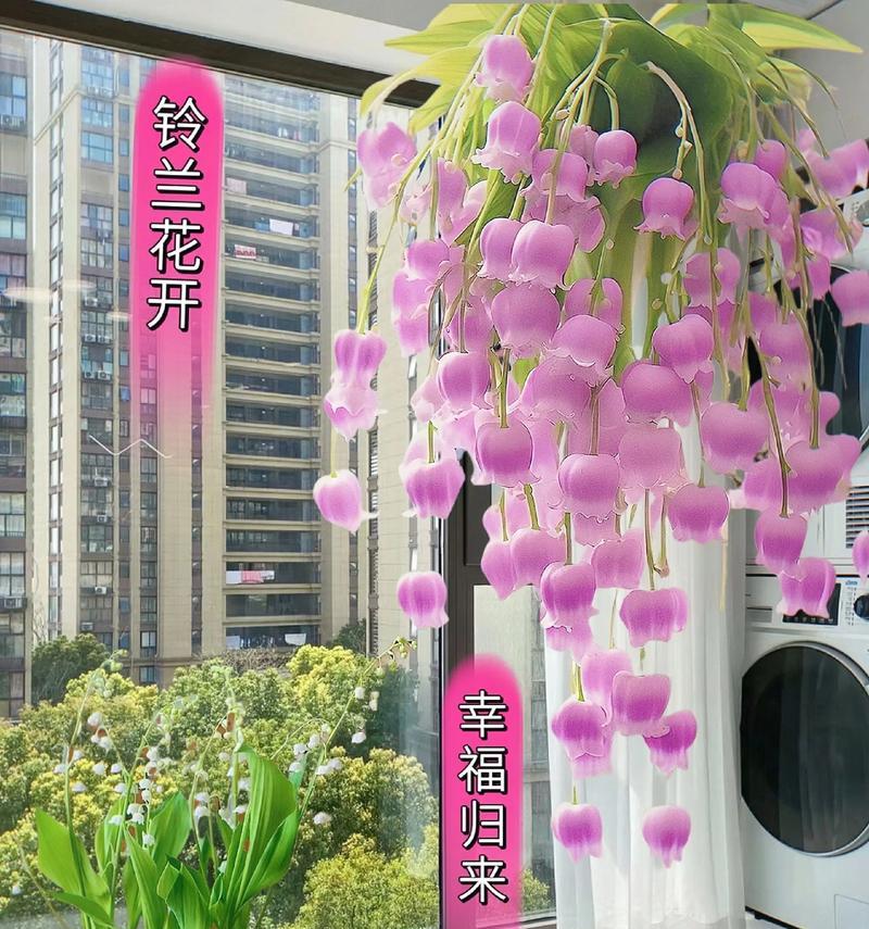 铃兰花的花语含义是什么？它代表了哪些情感？
