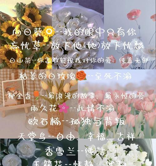 喜欢的花语有哪些？它们各自的意思是什么？