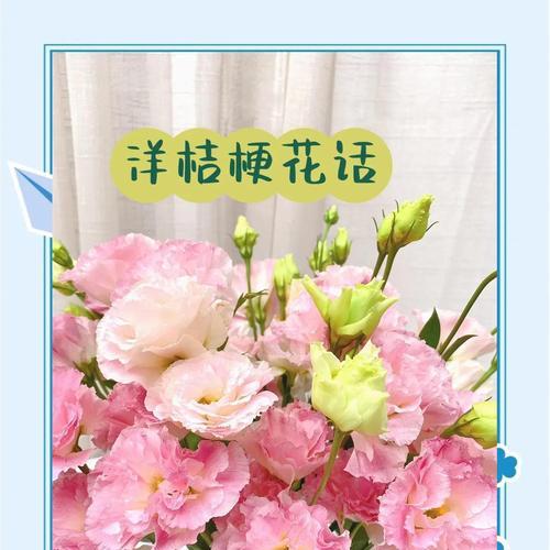 喜欢的花语有哪些？它们各自的意思是什么？