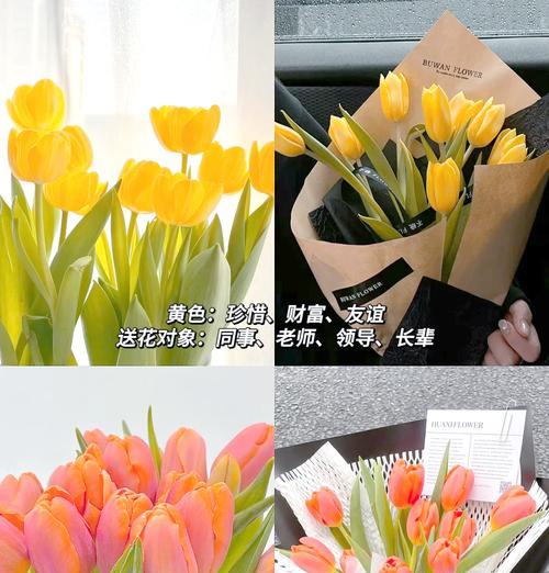 送给闺蜜象征友情的花有哪些？它们的花语是什么？