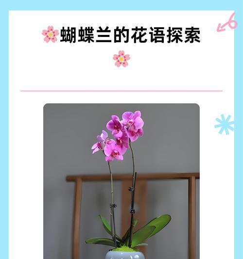 送给闺蜜象征友情的花有哪些？它们的花语是什么？