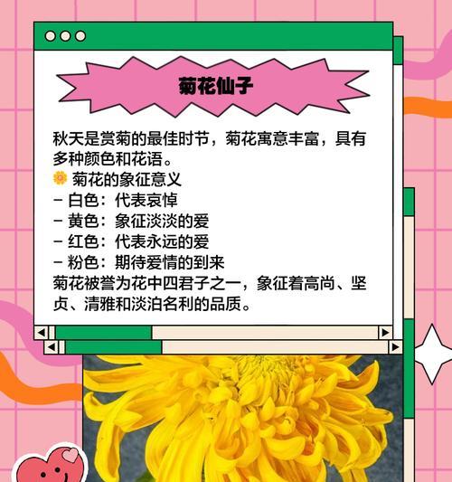 神话故事中花的象征意义是什么？