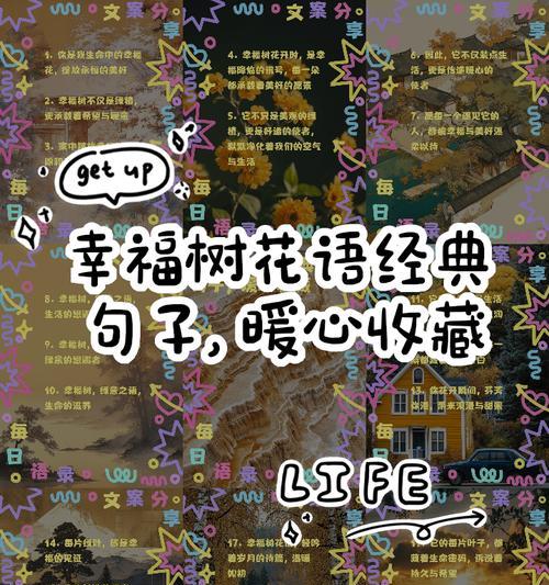 哪些花的花语代表着幸福？幸福花有哪些？