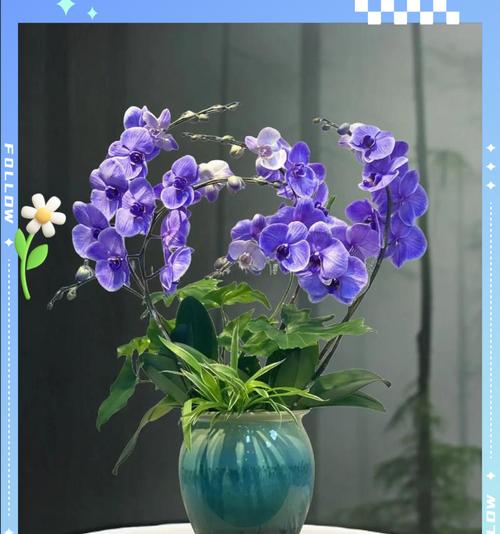 瓶插花卉的寓意和花语是什么？寓意好的有哪些？
