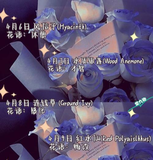 蝴蝶兰（探寻蝴蝶兰背后的深意）