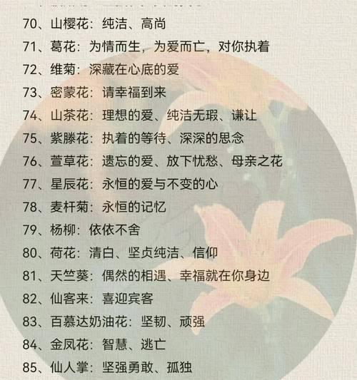 蝴蝶兰（探寻蝴蝶兰背后的深意）