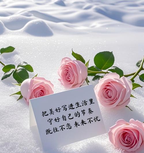 希望与曙光（点亮生命的芳香，散发坚定的信念）
