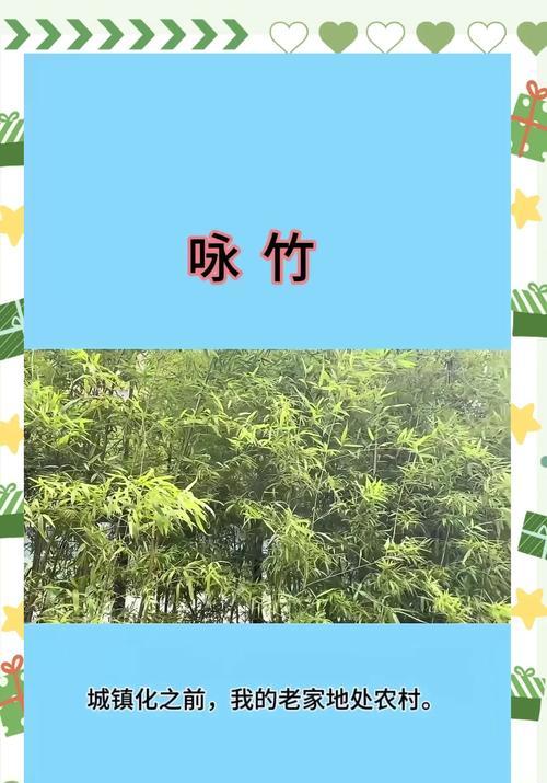 竹子的象征意义（传承千年的信念和智慧）