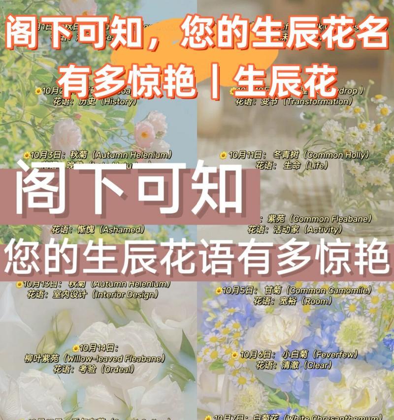 蓝色妖姬的花语与象征（揭秘蓝色妖姬花语，解读其象征意义）